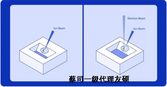 广州扫描电子显微镜